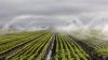 Kazakhstan allocates nearly 6 bcm of water for irrigation since start of growing season