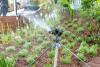 Taps run dry, cash runs out as South East Water’s financial fault line exposed