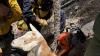 This goat escorted Colorado firefighters to a wildfire burning near Cheyenne Mountain: ‘She understood the assignment’