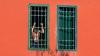 ECHR condemns Italy after inmate dies after losing 25 kg