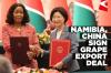 Namibia and China sign grape export protocol