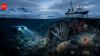 Norway opened the Arctic seabed for mining, but rare deep-sea life lives there too