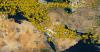 UAE travel: Every airline update flyers need right now