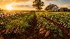 George Washington Carver Helped Transform Southern Agriculture