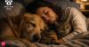 What it really means if your dog or cat sleeps beside you every night, according to scientists and pet experts
