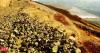 Capex in mining, construction equipment sectors to hit Rs 10 lakh crore by 2030: Report