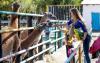 Kazakhstan’s Zoos Welcome 2.6 Million Visitors, Generate Record $5 Million