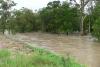 North Carolina dog swept away in floodwaters is found after neighbors and a drone pilot join search