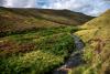 Peak District road tunnel could cost under £2bn using Norwegian tunnelling techniques