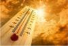 Florida’s summer heat poses health dangers