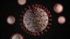 Portugal under norovirus outbreak mainly affecting Caldas da Rainha