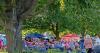 Music in the park draws crowd with shade, snacks and local music