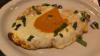 Now open: New Italian restaurant debuts in North Naples