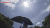People with heatstroke taken to hospital in Japan triple from previous week