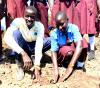 NIRAS and partners transforming communities through tree growing across Northern and Western Uganda