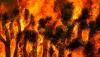 While Colorado burns, Washington says ‘contractors not acceptable’