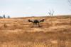 This Estonian Software Uses an Enemy Drone’s Own Video to Hunt It Down