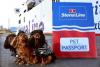 Stena Line removing the ‘guilt trip’ for Northern Ireland's pet-owning travellers