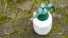 Waste experts warn of 6 easy-to-make mistakes to avoid when disposing of garden chemicals