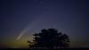Florida skywatchers can spot this rare comet during tonight's new moon