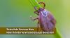 How Emerging Tick-Borne Viruses Evade the Human Immune System