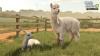 Farming Simulator 25 Announces Beans &amp; Alpacas Expansion