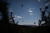 Colorado wildfires: More Aspen Acres evacuations lifted, Steamboat fires snowmaking guns as precaution against Fishhook fire