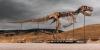 South Dakota T. rex “Gus” sells for record $50.13M at Sotheby’s