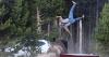 Agitated bison terrifies tourists in Yellowstone campground