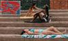 Extreme warning issued to millions as 'steam cooker' heatwave turns 25 states into a sauna