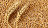 The blockade of the Sea of Azov has driven up wheat prices in Romania. What about Moldova?