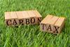 The Hidden Cost: Why Carbon Taxes Are Unpopular