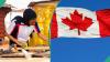 Canada opens job application portal for skilled Nigerians