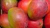 Sudan mango industry crushed by war, supply chain collapse