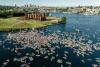 Seattle Paddle Rave: When the beat drops in Lake Union