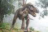 A South Dakota T Rex Just Broke The World Fossil Auction Record