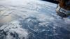 Scientists Predict When Plant Life on Earth Will Finally Disappear