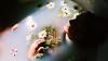Beauty treatments and wellness: A holistic view