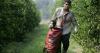 Farmers lobby for H2-A visa reform to help address laborer shortages