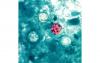 Michigan health officials ID ‘potential source’ of explosive diarrhea parasite
