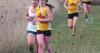 MCE XC holding Cardinal Classic 5K fundraiser on July 25