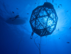 Ocean Era receives final permit for red drum demonstration project