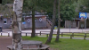 Investigation launched into Surrey PGL tree incident that left 18 injured