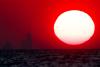 Chicago weather: Heat advisory in effect as poor air quality alert set to expire at midnight
