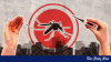 Dengue: One dies, 338 hospitalised in 24 hours