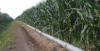 Nebraska farmer says rising irrigation costs are cutting into margins