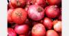 Malaysian red onion output misses 2025 target by 97%