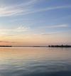 How Conflict Turned Shrinking Lake Chad into a Bird Refuge