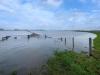 Missouri farmers report cattle losses, flooded fields after historic rain