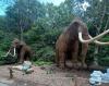 Walk among Mammoths and Cave Lions at Cox Science Center